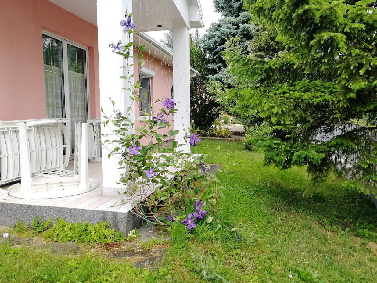 Fészek Apartmanház Vonyarcvashegy Esterno foto