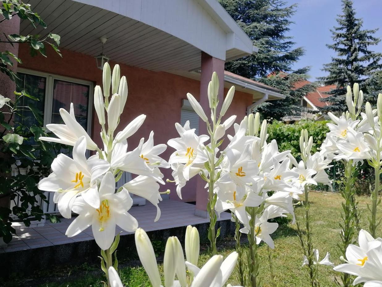Fészek Apartmanház Vonyarcvashegy Esterno foto