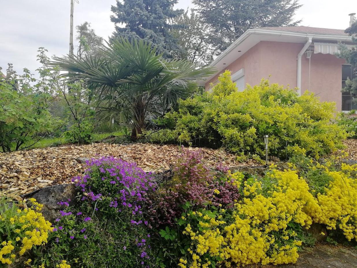 Fészek Apartmanház Vonyarcvashegy Esterno foto