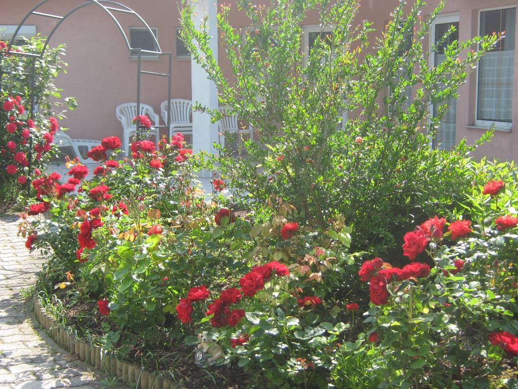 Fészek Apartmanház Vonyarcvashegy Esterno foto